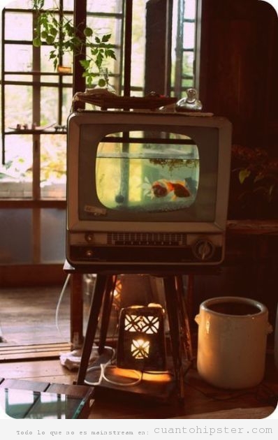 Pecera con forma de televisión retro vintage