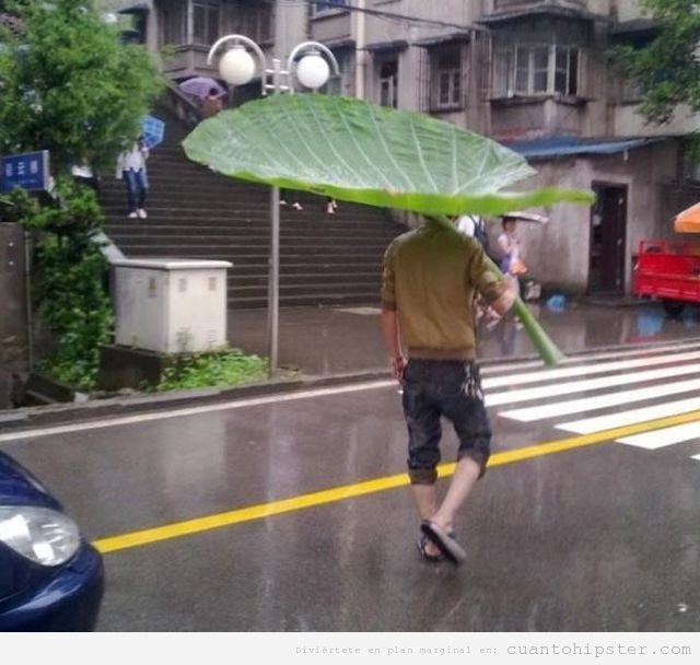 Chico hipster por la calle con un paraguas de una hoja de vegetal gigante