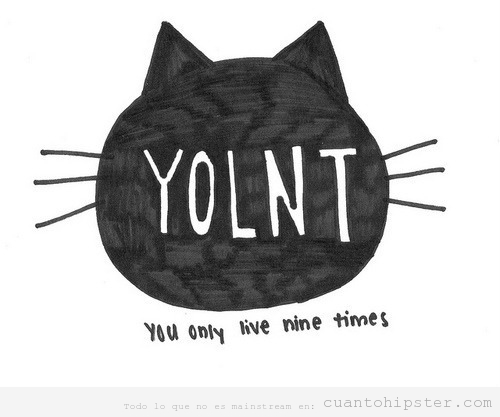 Dibujo de un gato, YOLO hipster versión You only live nine times