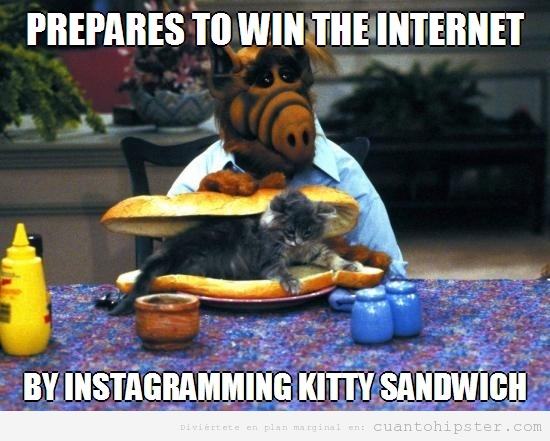 Foto de Alf en Instagram comiendo un sandwich de gato