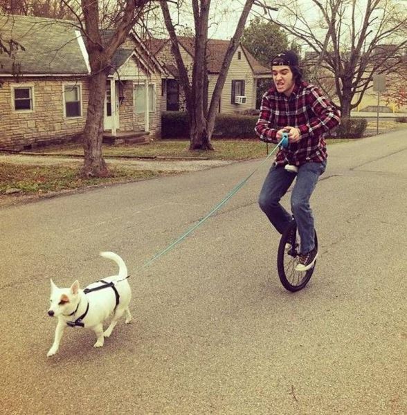 Perro paseando a un hipster en bicicleta de una rueda