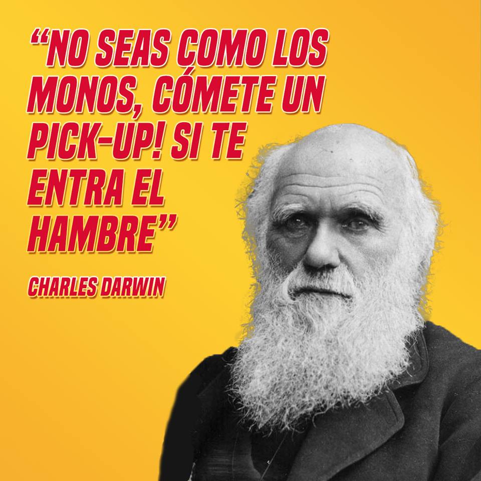 Pick Up frase Darwin