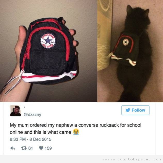 Foto graciosa mochila Converse pequeña para el gato