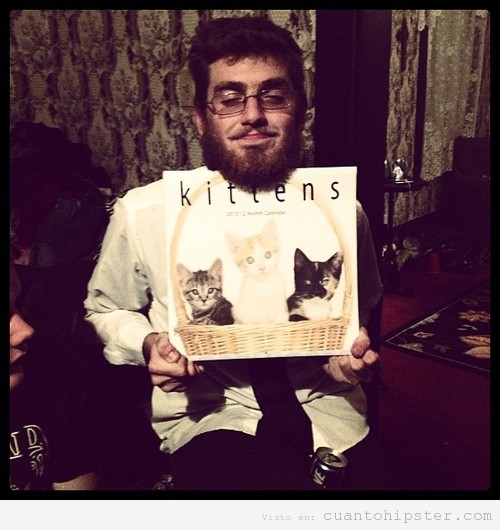 Regalo para un hipster, vinilo con cesta de gatos Kittens