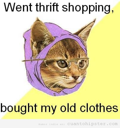 Meme de la gata hipster que compra en las tiendas de segunda mano