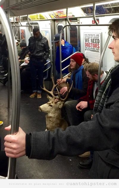 Imagen de un hipster en el metro con cabeza de llama disecada