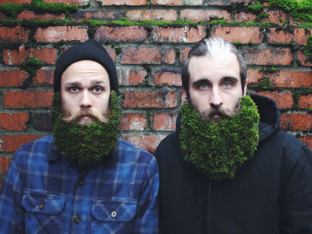 Dos hipsters con barbas llenas de musgo